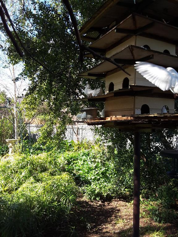 The Dove Cote Acomodação com café da manhã Tanunda Exterior foto