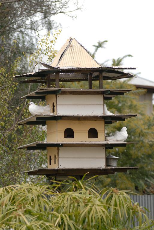 The Dove Cote Acomodação com café da manhã Tanunda Exterior foto
